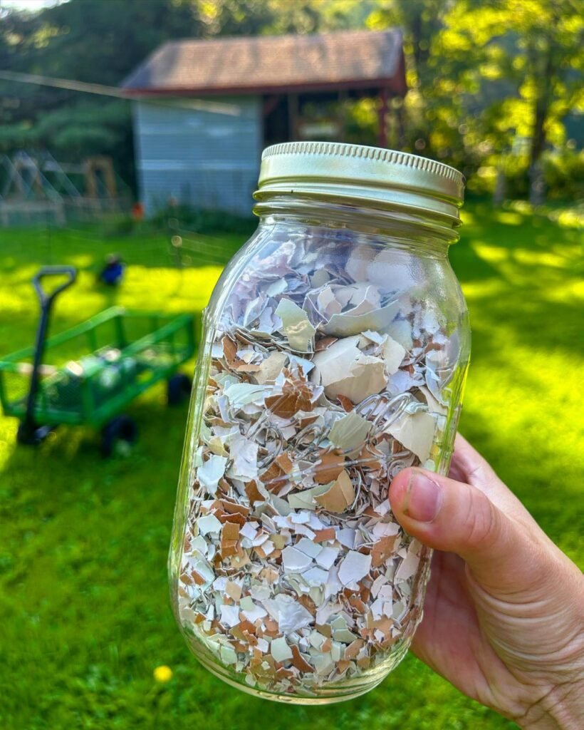 jar full of egg shells instagram @vtmillennialhomesteaders
