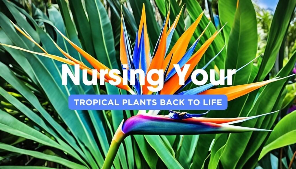 Nursing Your Tropical Plants Back to Life