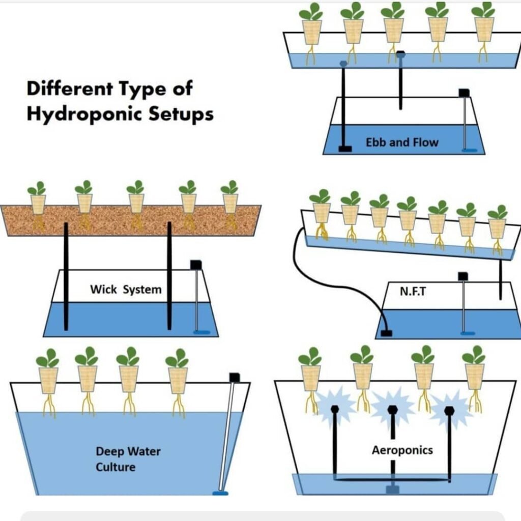 Different Type of Hydroponic Systems